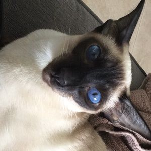 Meet your Posher, Andrea